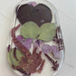 The Pressed Trinket Dish