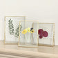 Pressed Glass Frame Set