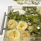 The Acrylic Serving Trays